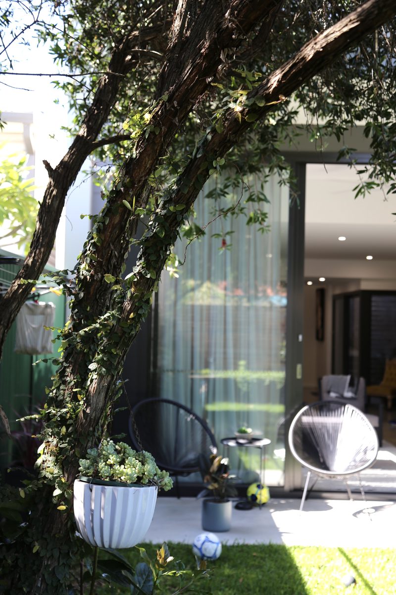 Dulwich Hill Rear Extension